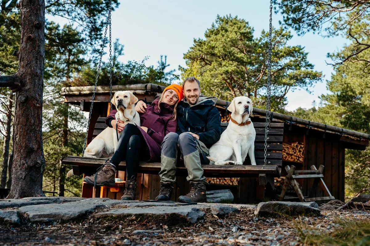 Auf der Bank am Wald, die Hunde mittendrin