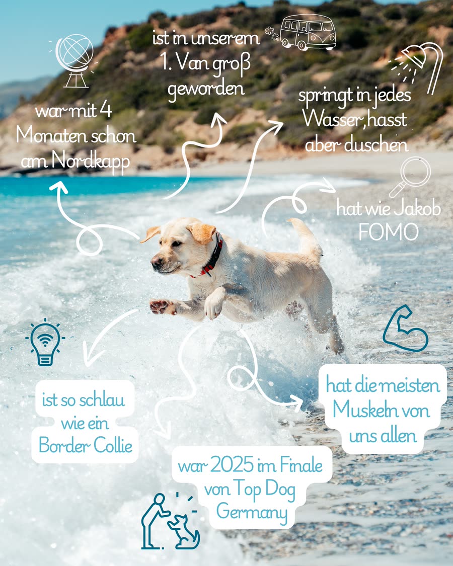 Steckbrief Alice, mit vier Monaten am Nordkapp, 2025 im Finale von Top Dog Germany